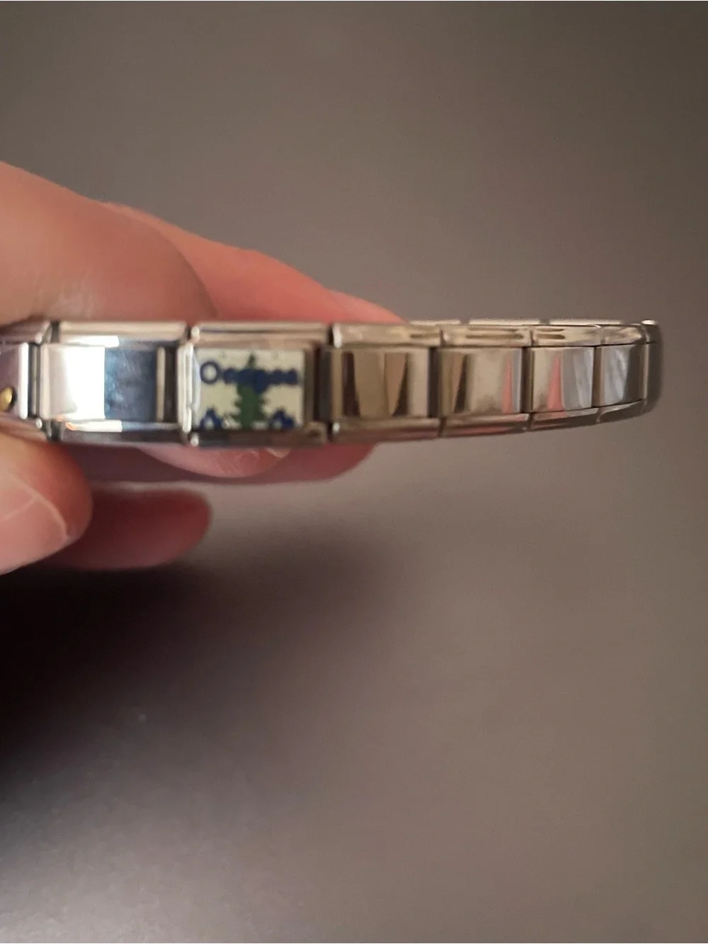 Jill Friend Oregon Stainless Steel Link Bracelet